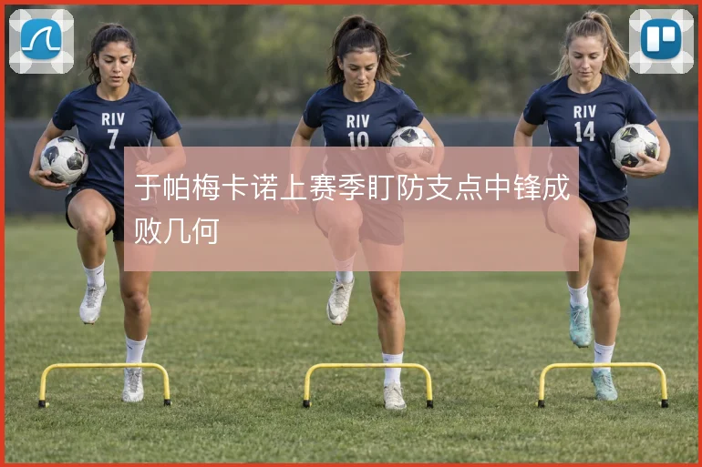 于帕梅卡诺上赛季盯防支点中锋成败几何